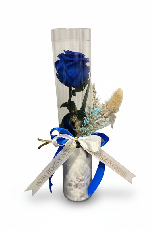 Rosa preservada Azul