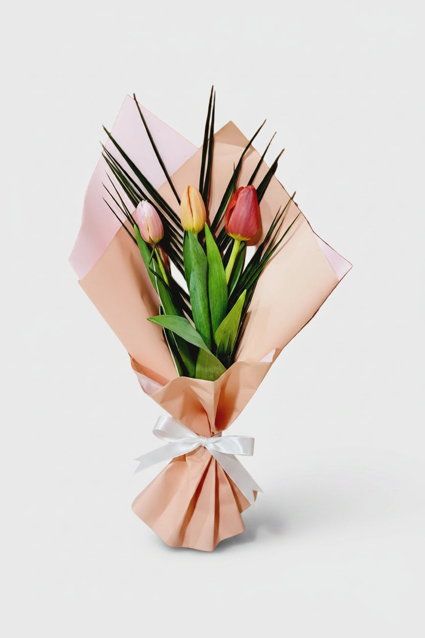 Tulipanes